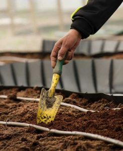 How to Trench Compost in a Raised Bed Image